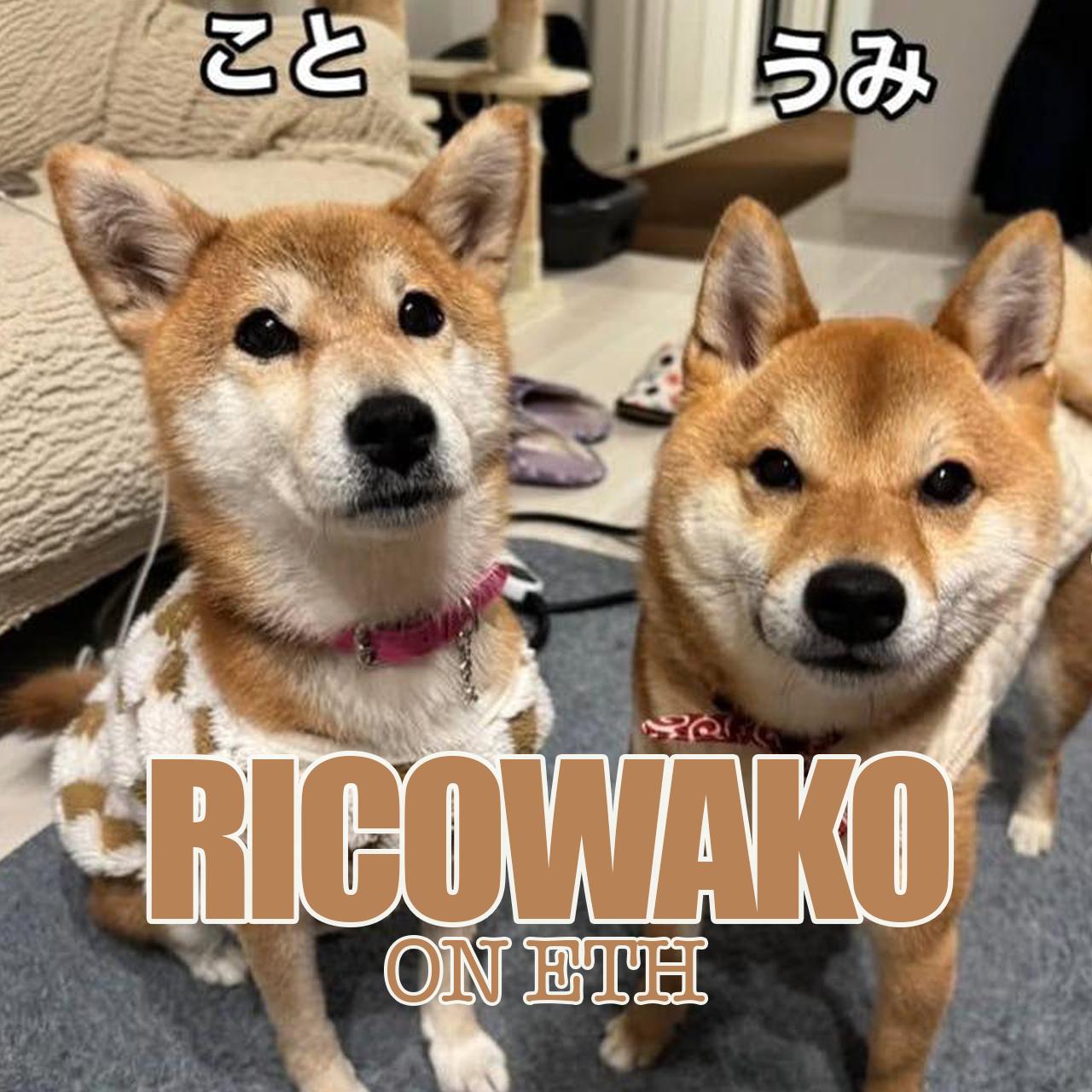 RICOWAKO Characters